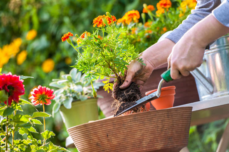 psychological benefits of gardening, aerating