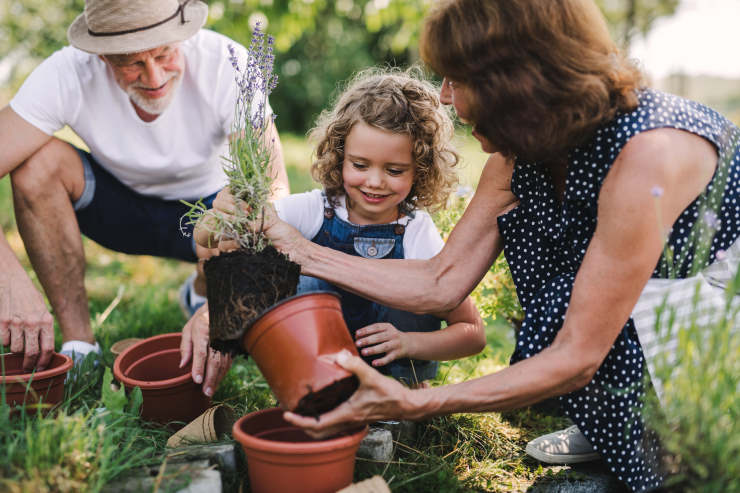 psychological benefits of gardening, generational