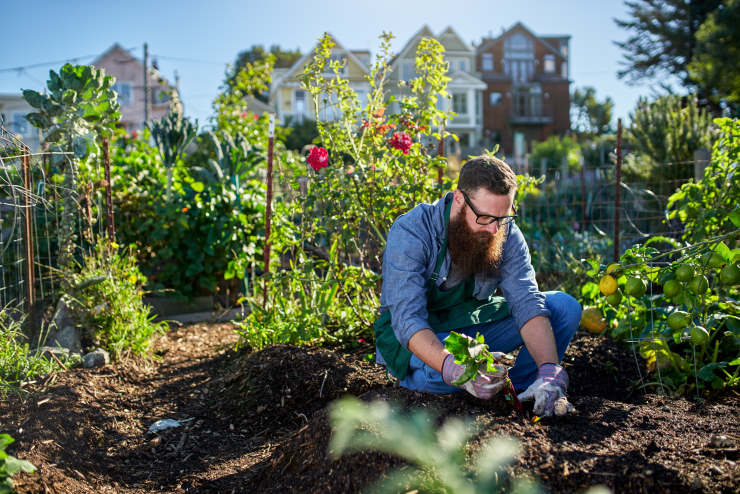 psychological benefits of gardening, male person