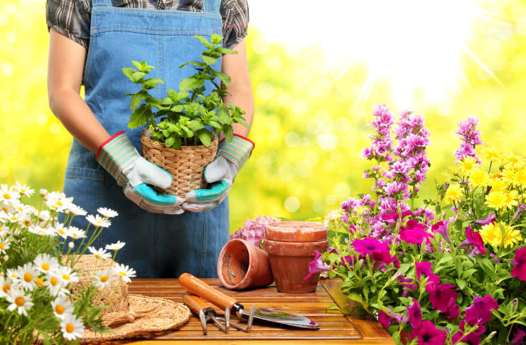psychological benefits of gardening