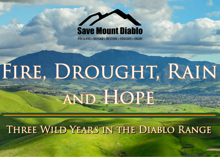 Fire, Drought, Rain and Hope: Three Wild Years in the Diablo Range